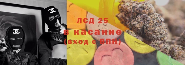 сатива Арсеньев