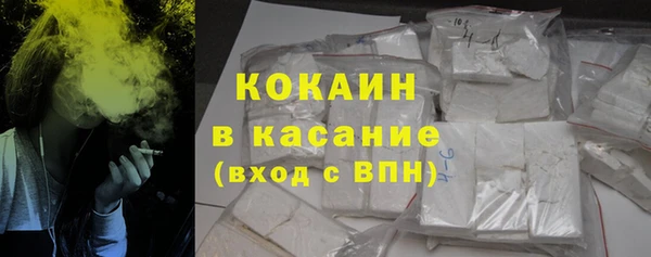 сатива Арсеньев