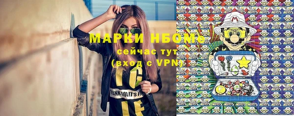 сатива Арсеньев