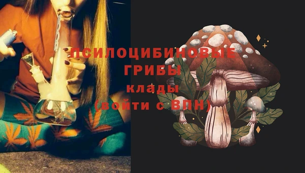 герыч Аркадак