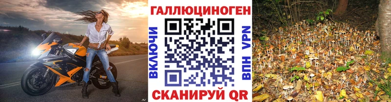 Галлюциногенные грибы MAGIC MUSHROOMS  площадка наркотические препараты  Губкинский 